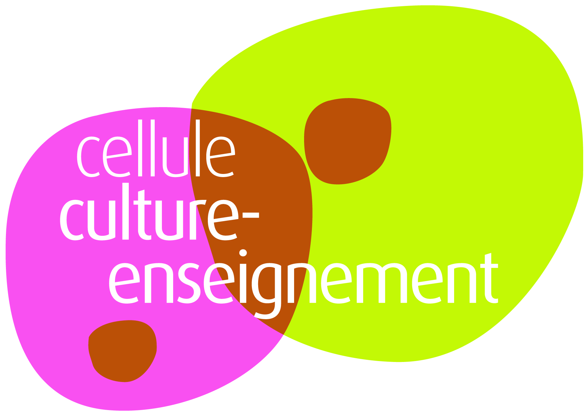 cellule culture enseignement